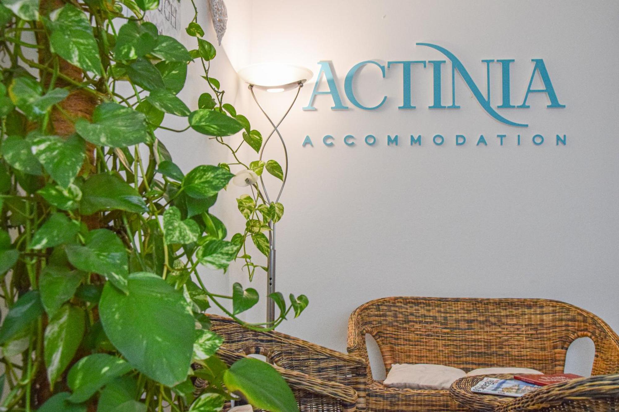 Guest house Actinia