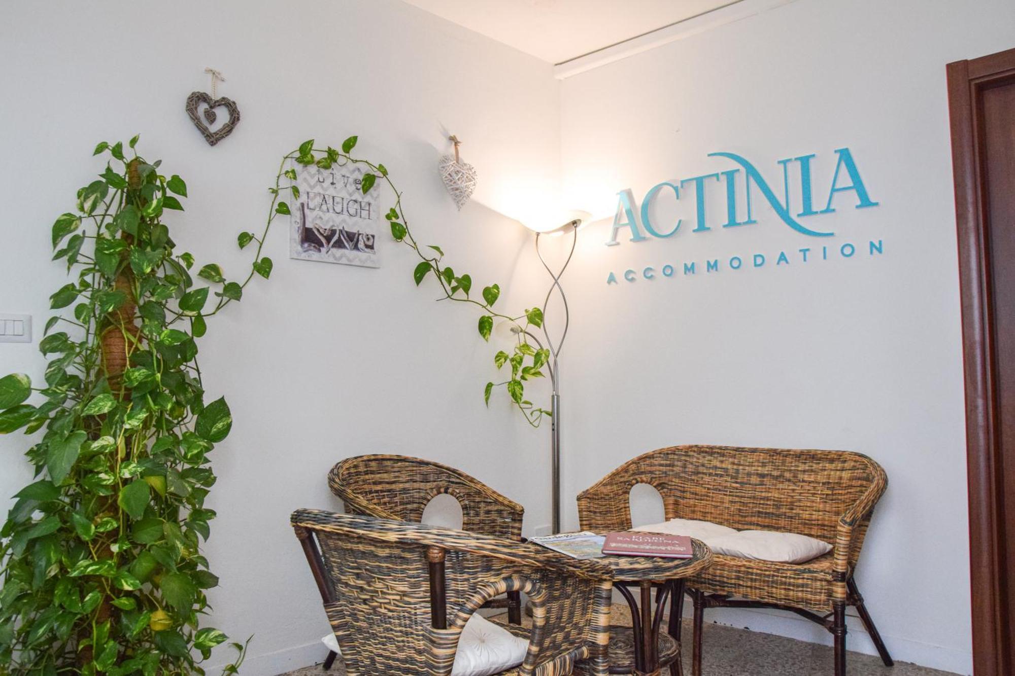 Guest house Actinia *